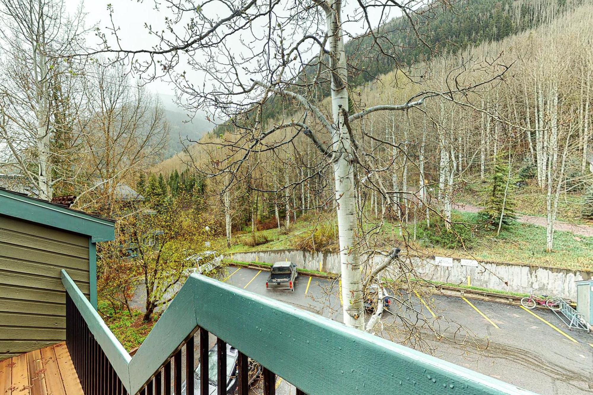 Riverside A Villa Telluride Ruang foto